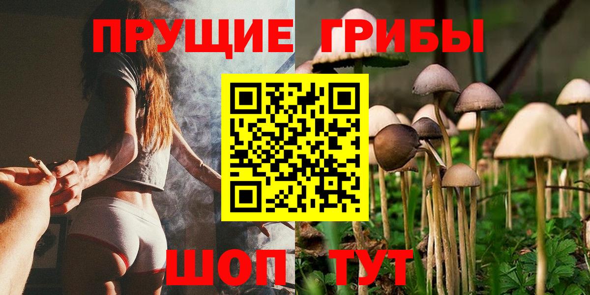 Губаха  закладка  Псилоцибиновые грибы Psilocybine cubensis  Вход с VPN  Галлюциногенные грибы GOLDEN TEACHER 